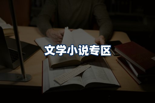 文学小说PDF展示